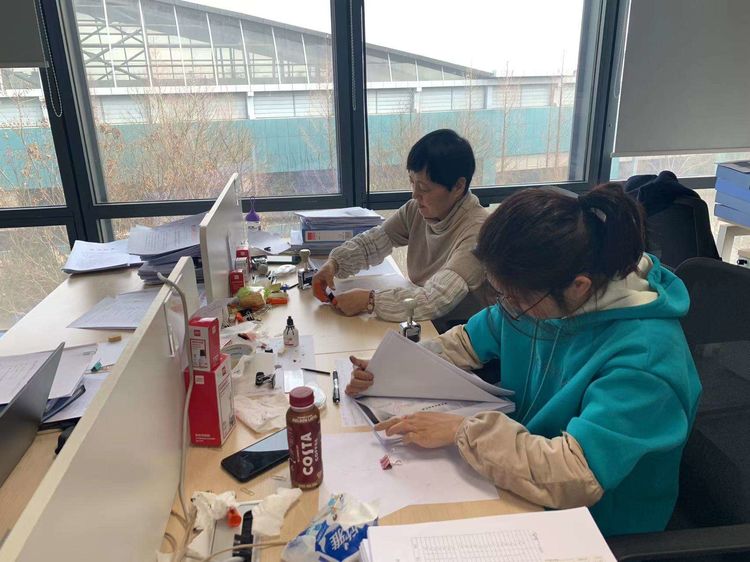 메이저 메이저 놀이터